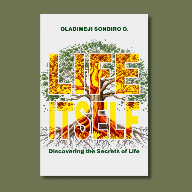 buy-life-itself-hardcopy-by-oladimeji-sondiro-o-on-selar