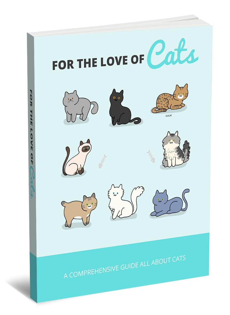 For the Love of Cats