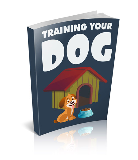 Training Your Dog