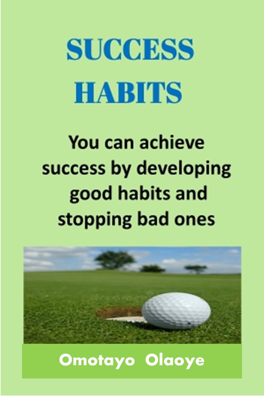SUCCESS HABITS