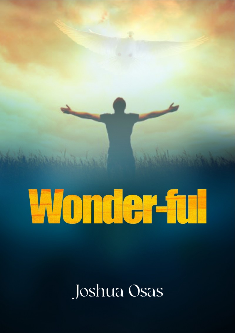 Wonder-ful