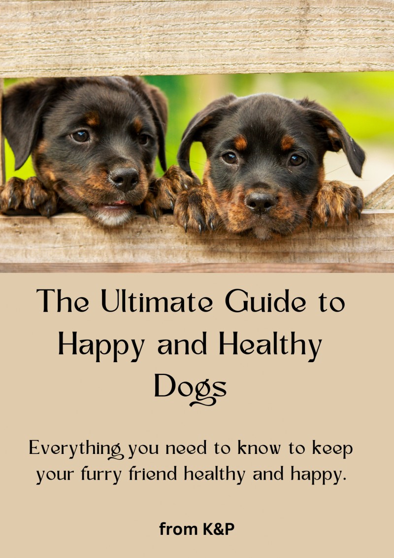 The Ultimate Guide to Happy and Healthy Dogs