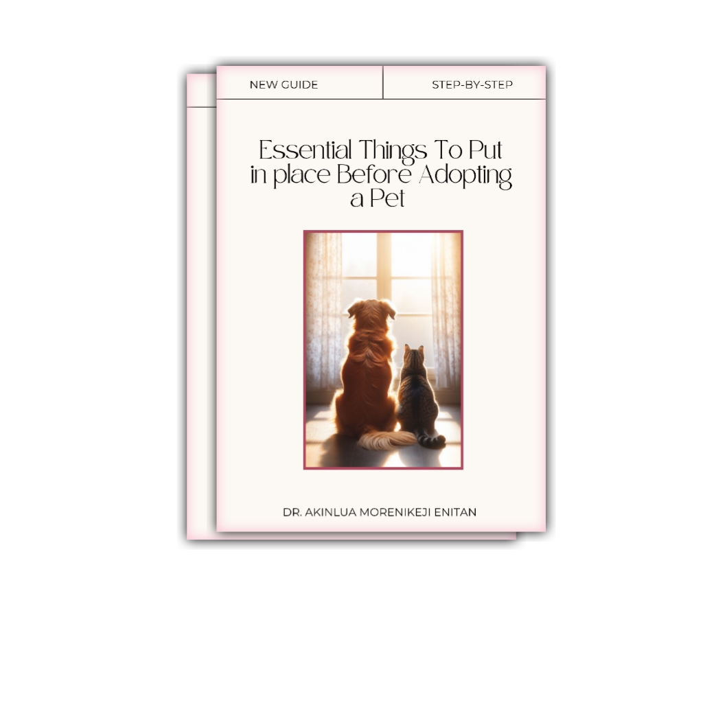 Put In Place Buy Essential things to put in place before adopting a Pet by Petlovers ...