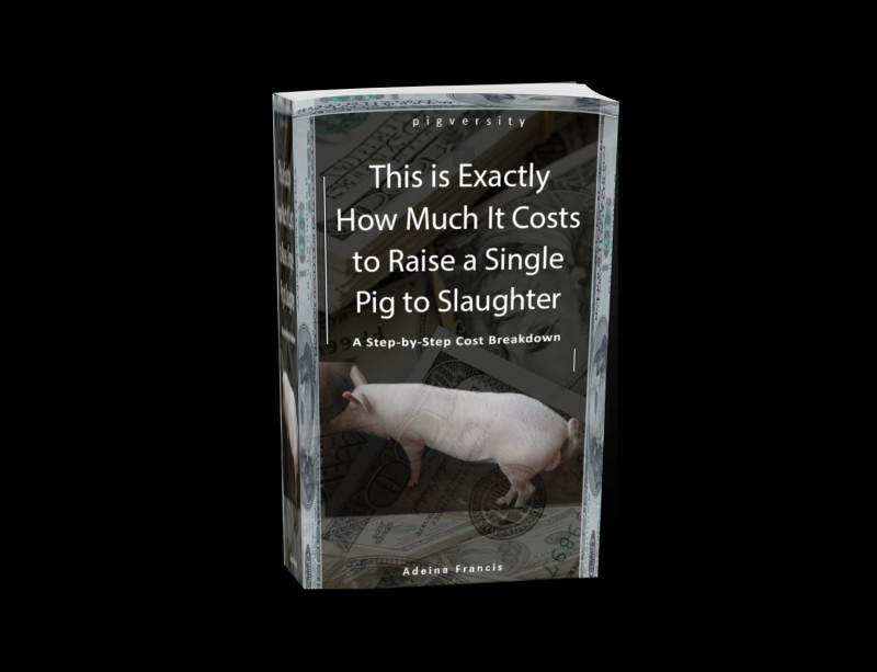 buy-exactly-how-much-it-costs-to-raise-a-single-pig-from-weaner-to