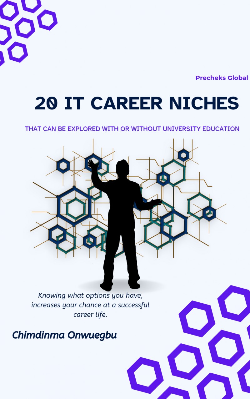 20 IT Niches to be explored with or without university degree