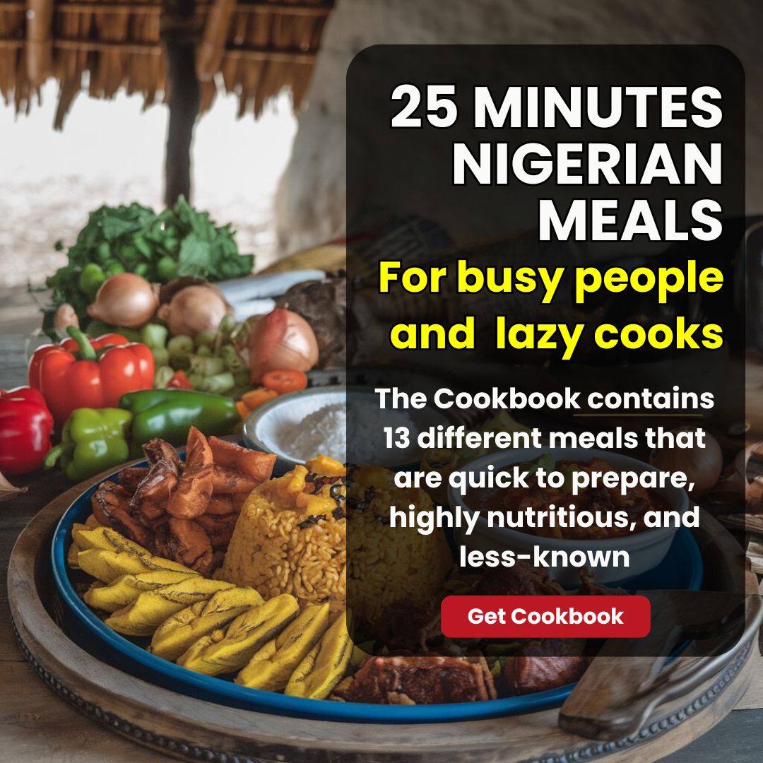 Buy 25 MINUTES NIGERIAN MEAL COOKBOOK FOR BUSY PEOPLE AND LAZY COOKS by ...