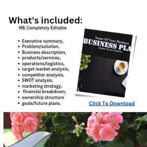 BUSINESS PLAN TEMPLATE