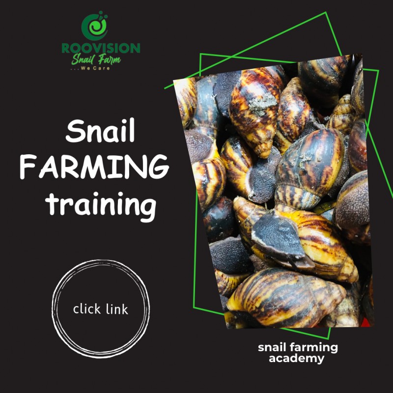 SNAIL FARMING FOR PROFIT 30-Day Practical Online Training