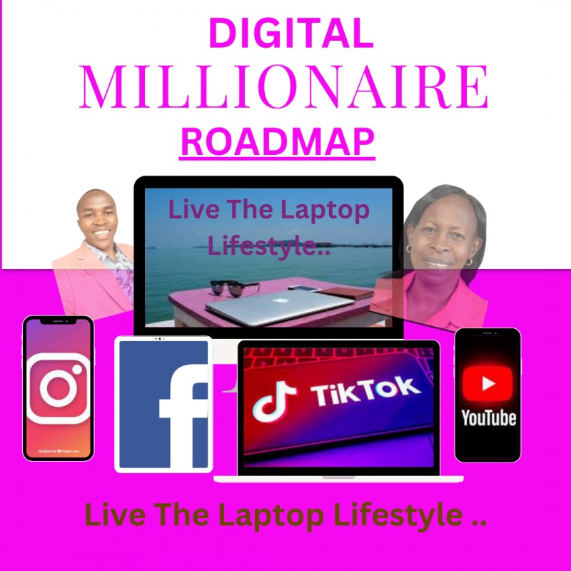 Digital Millionaire Roadmap