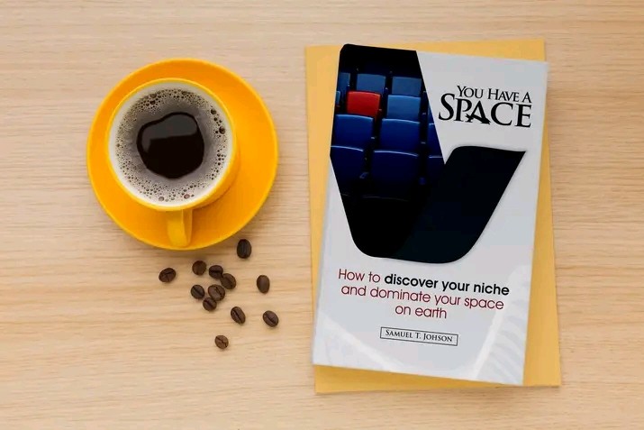 Buy YOU HAVE A SPACE by Samuel Johnson on Selar