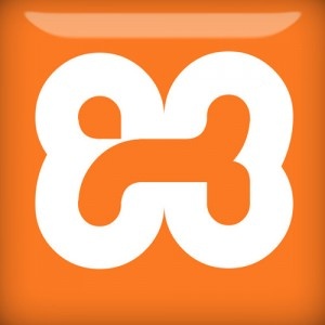 Xampp server to wordpress offline