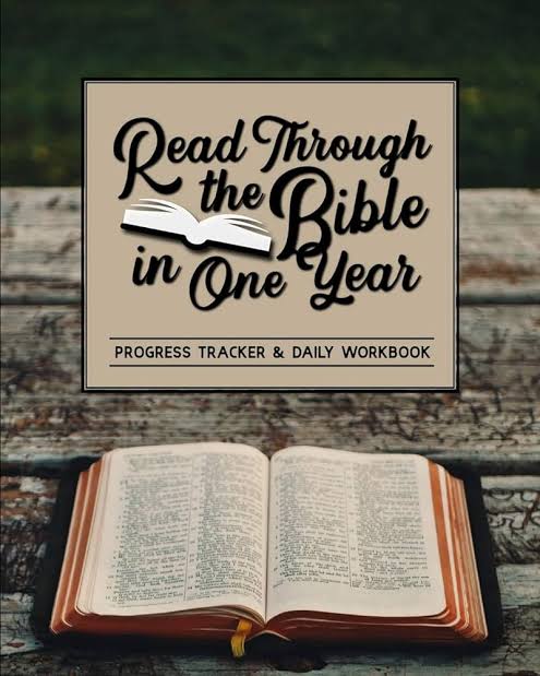 THE BEST 1 YEAR BIBLE READING PLAN FOR BEGINNERS