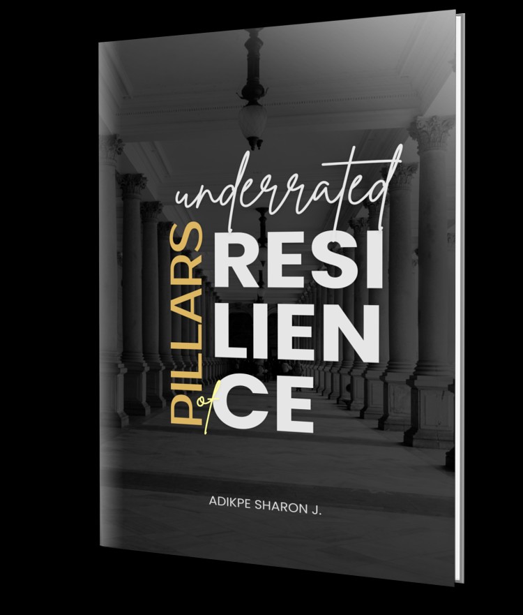 The Underrated Pillars of Resilience Book