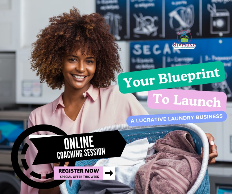 Buy Laundrypreneur Mastery Program: Your Blueprint to Launching a ...