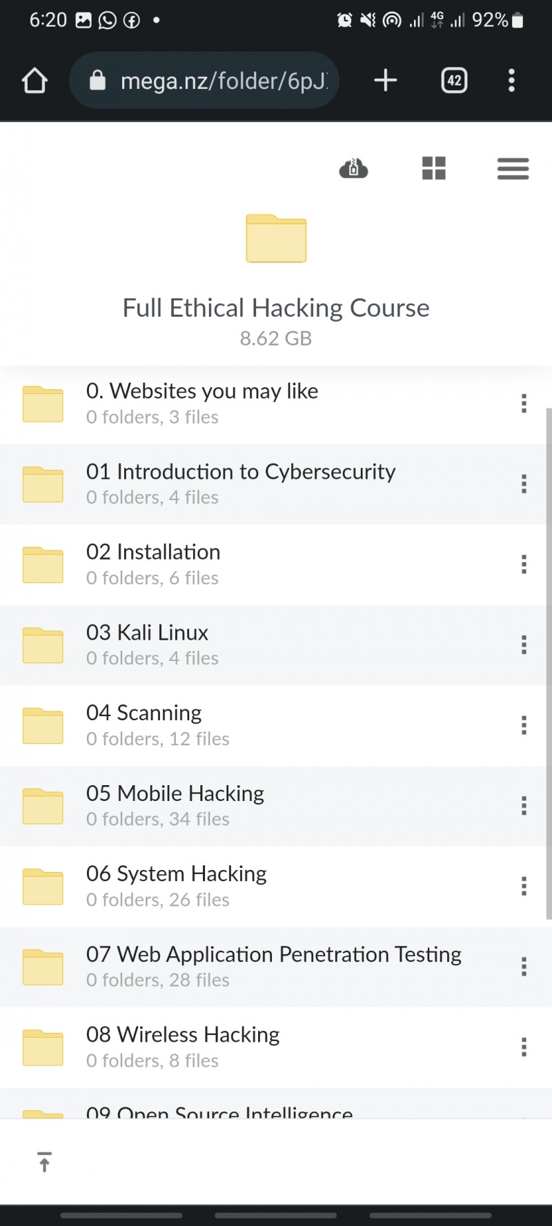 CYBER SECURITY & ETHICAL HACKING (ONLINE PROFESSIONAL COURSE)
