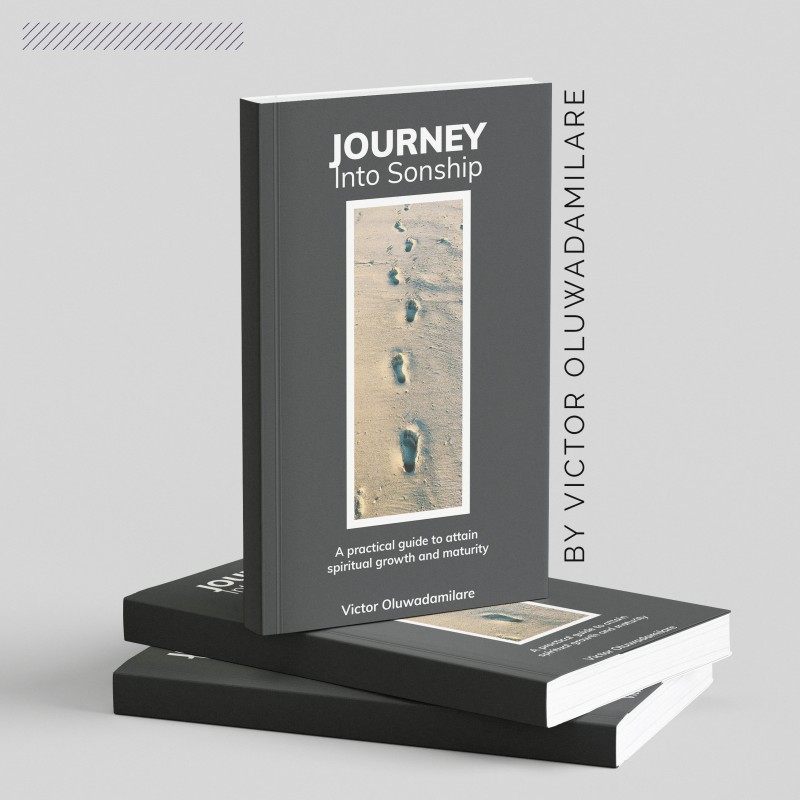 Journey Into Sonship