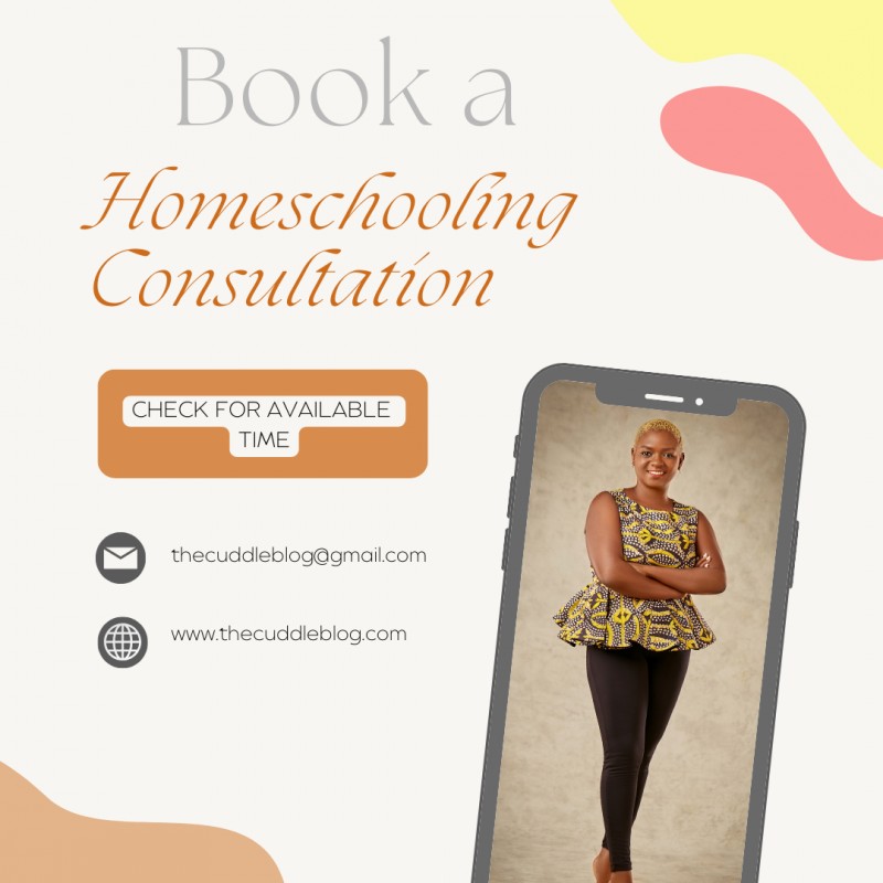 1 Hour Homeschooling Consultation