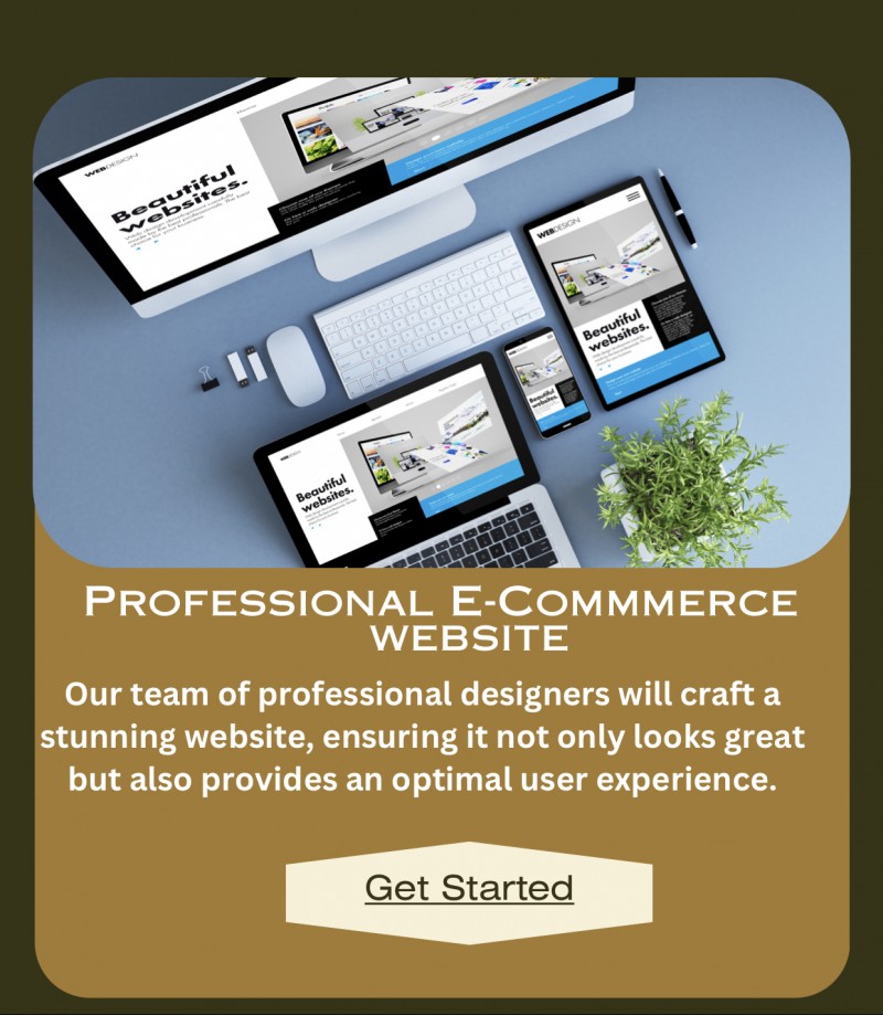 Professional E-Commmerce website