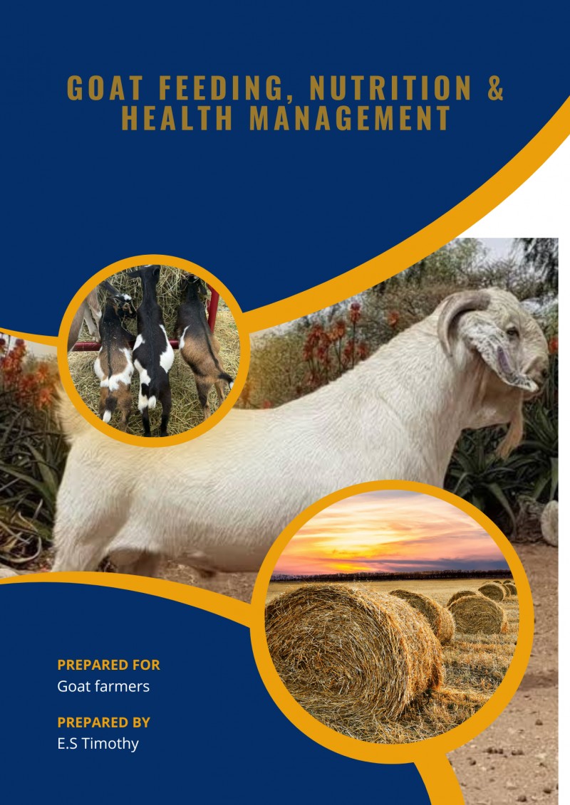 Goat Feeding, Nutrition and Health Management