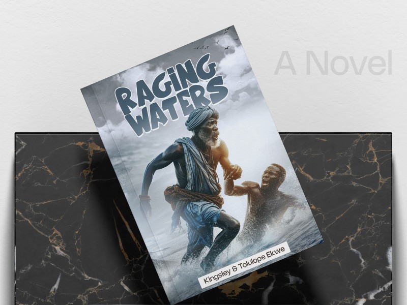 WRITING MY FIRST BOOK