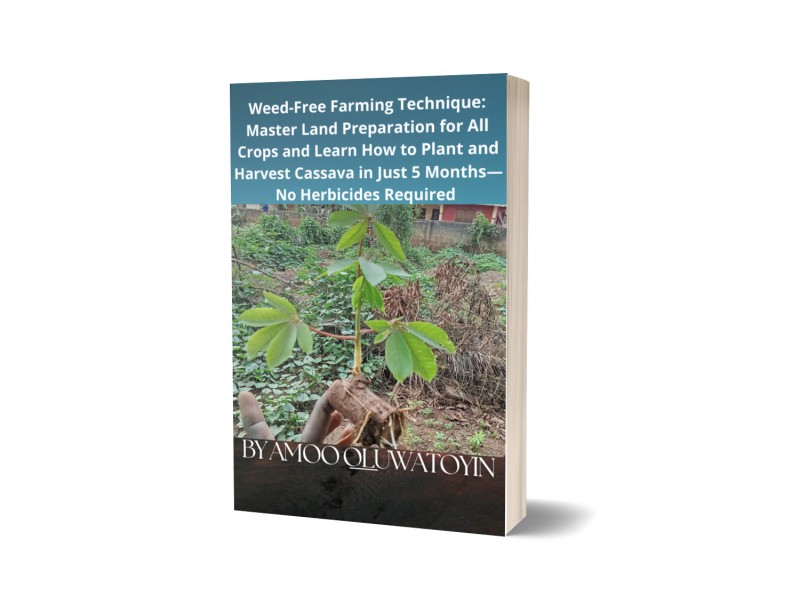 Weed-Free Farming Technique: Master Land Preparation for All Crops and Learn How to Plant and Harvest Cassava in Just 5 Months—No Herbicides Required
