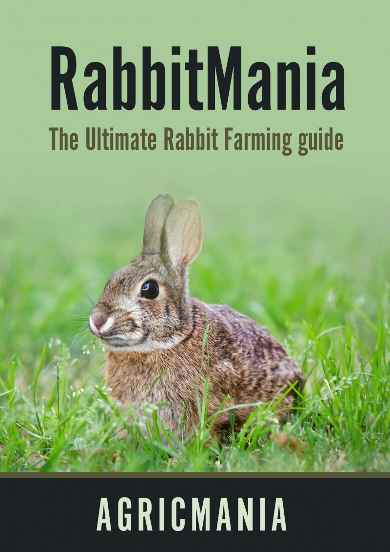 RabbitMania the Ultimate Rabbit rearing ebook