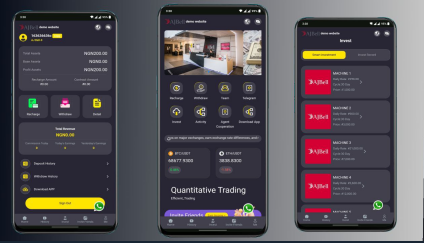 Crypto Ponzi Investment Website Script with Local Bank Payment