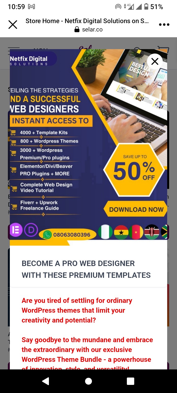 WordPress premium plugin/theme