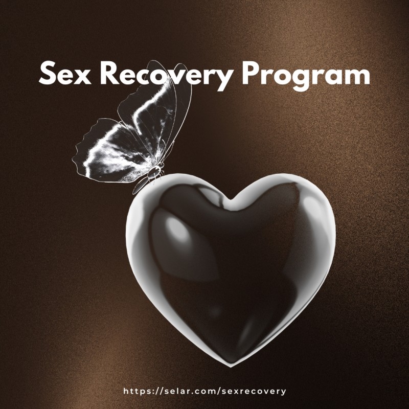Sex Recovery Program