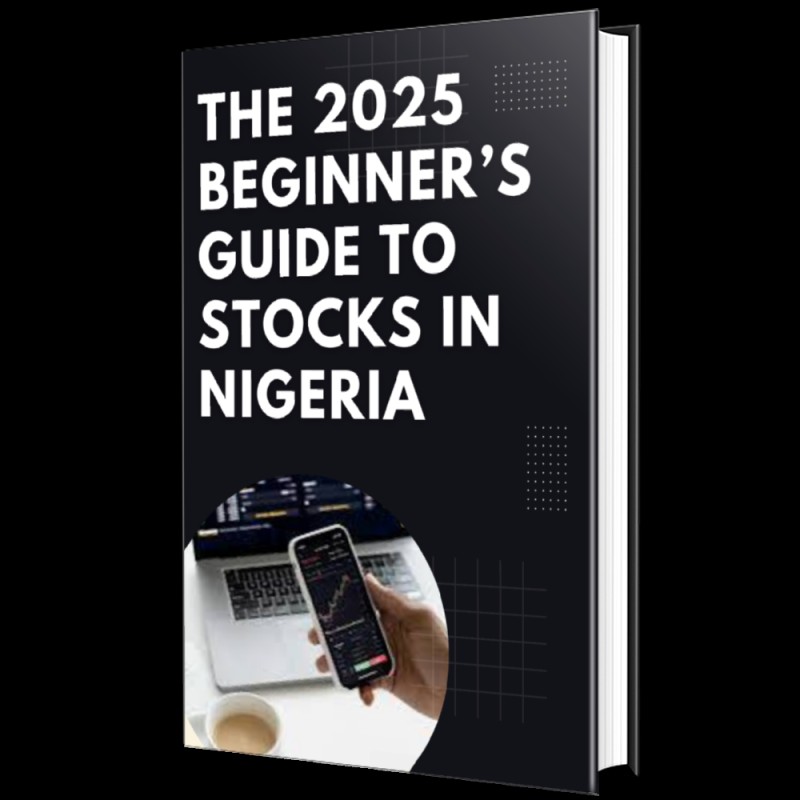 THE 2025 BEGINNER'S GUIDE TO STOCKS IN NIGERIA