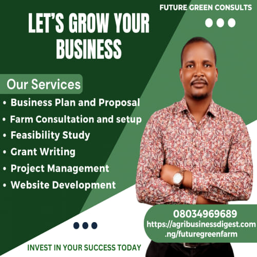 Business Plan Writing Service