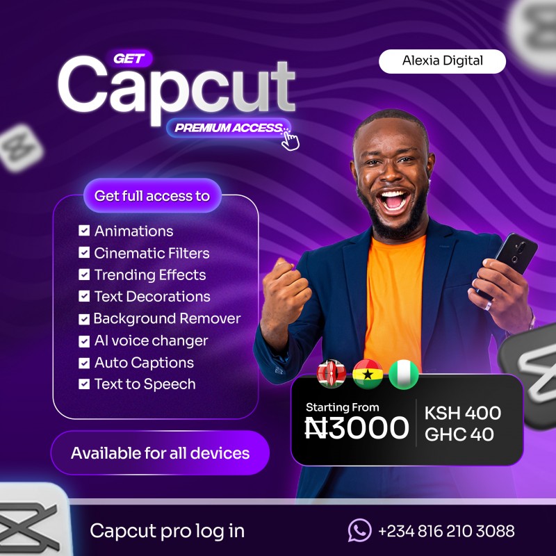 CapCut Standard