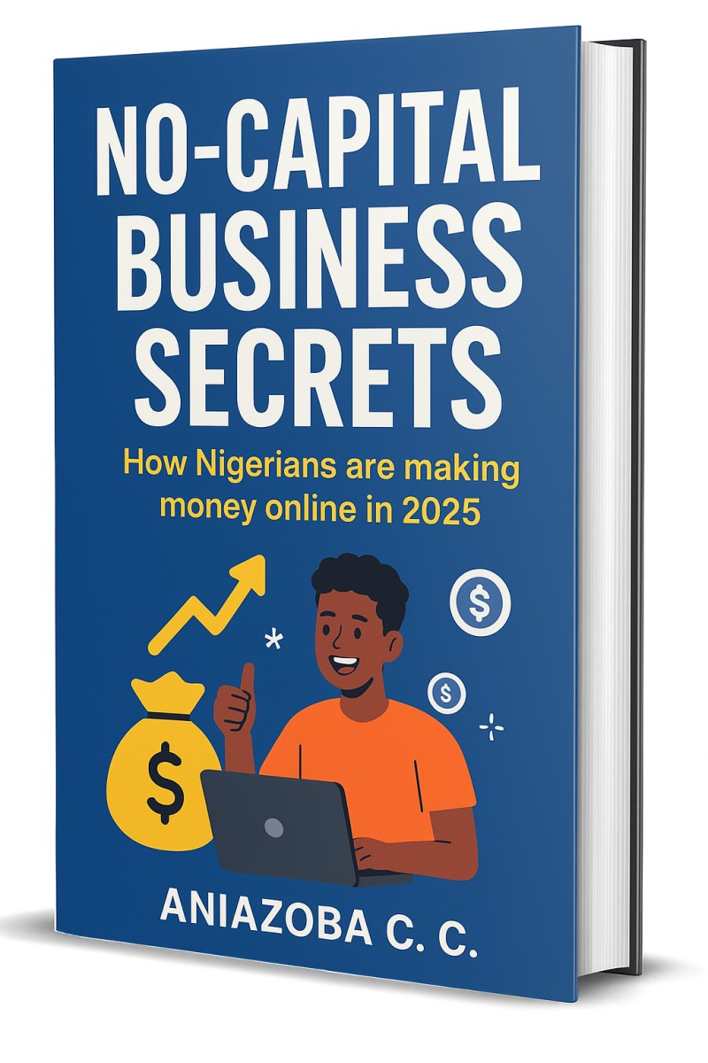 No-Capital Business Secrets: How Nigerians are making money online.