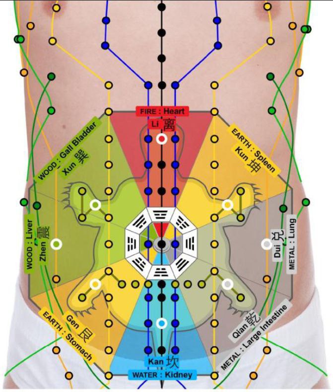 COMPLETE ONLINE MASTERCLASS TRAINING VIDEOS ON ABDOMINAL ACUPUNCTURE