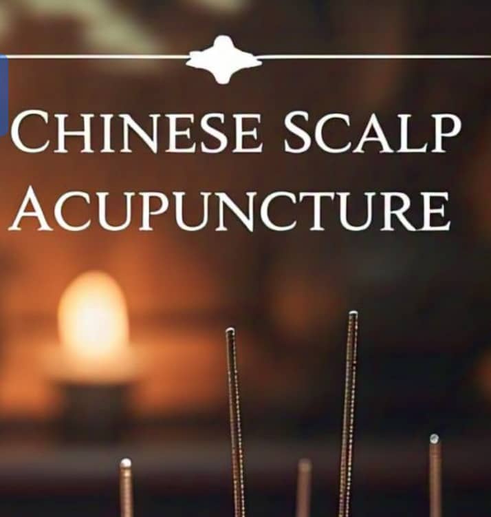 COMPLETE ONLINE VIDEO MASTER CLASS TRAINING ON CHINESE SCALP ACUPUNCTURE