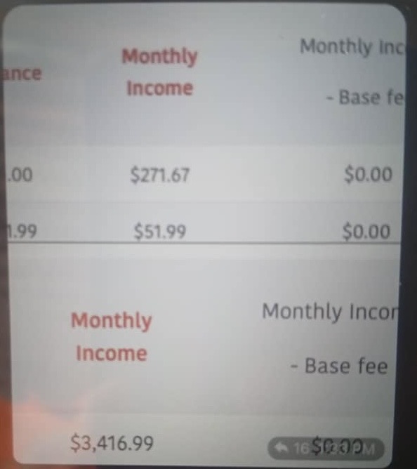 Customer review 8