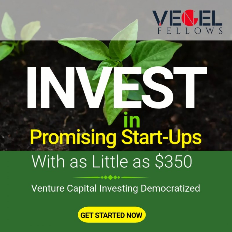 Vengel Fellows Limited Partnership White Paper