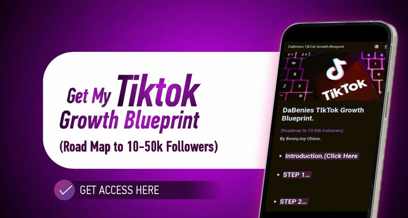 Tiktok Growth Blueprint