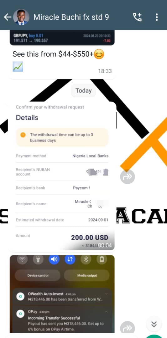 Customer review 4