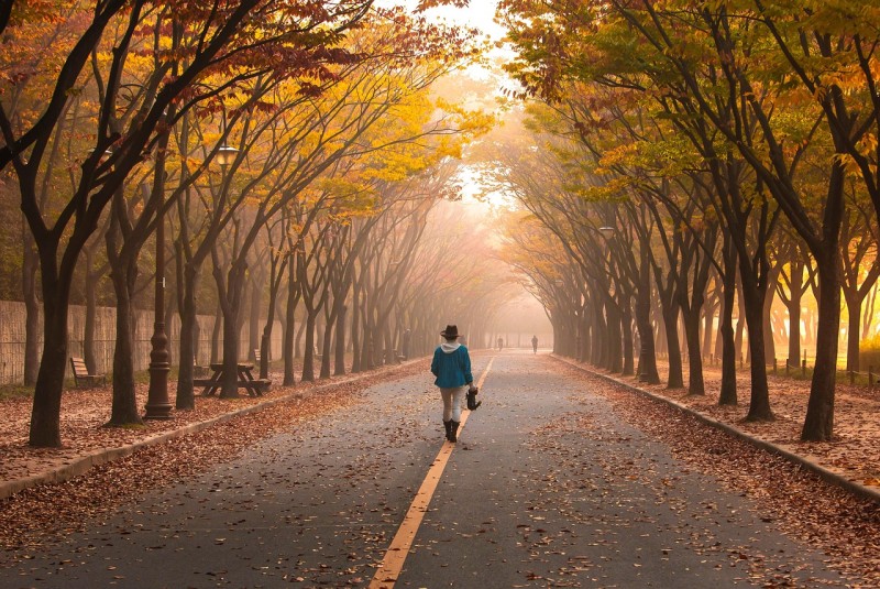 Silent break-up :The quiet road to divorce(audio teaching)