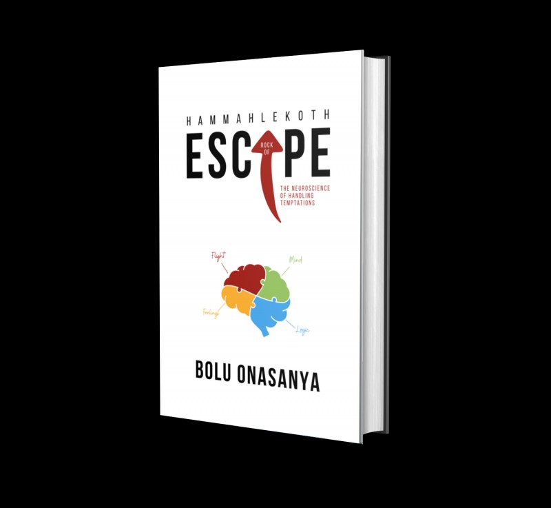 ROCK OF ESCAPE: The Neuroscience of Handling Temptations (PAPERBACK)