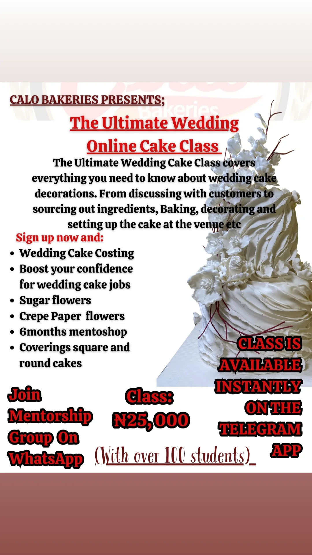 The ultimate wedding cake class