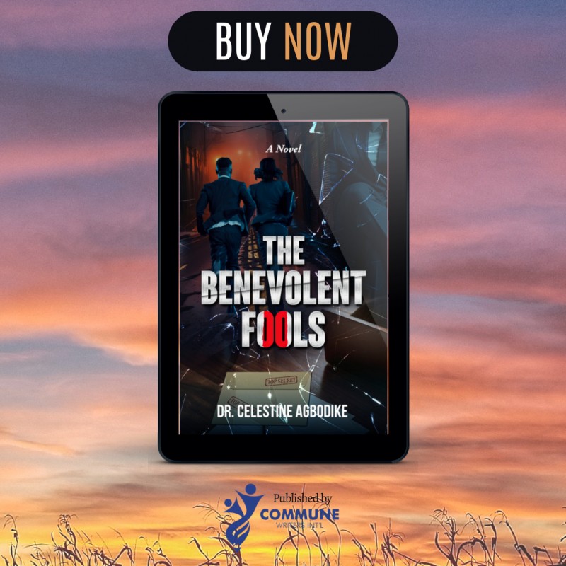 The Benevolent Fools (ebook)