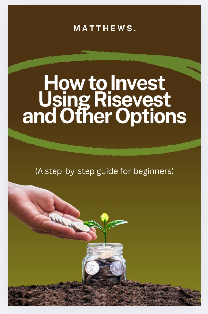 How to Invest Using Risevest  and Other Options (A step-by-step guide for beginners)