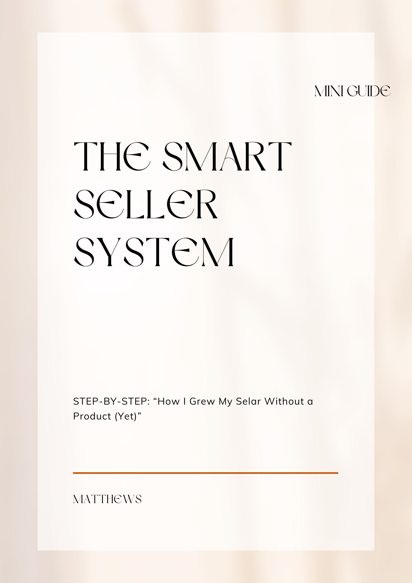 THE SMART SELLER SYSTEM: MINI GUIDE
