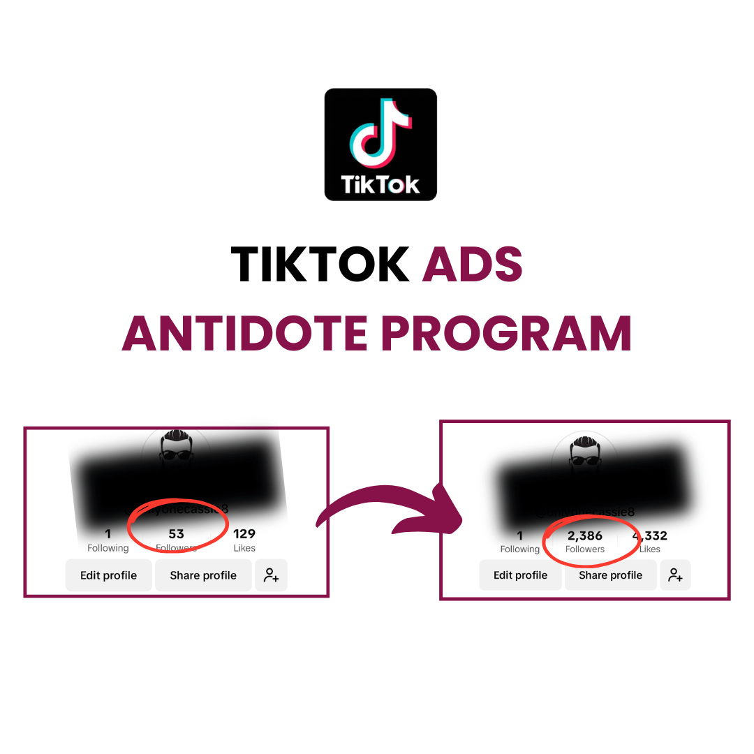 Tiktok Ads Anitdote Program