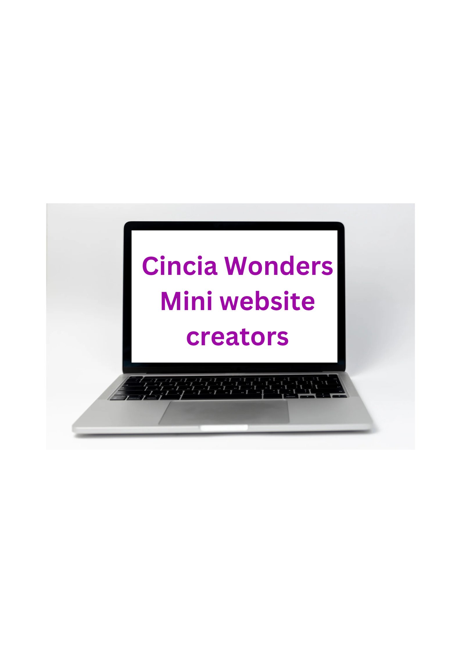 Mini website training
