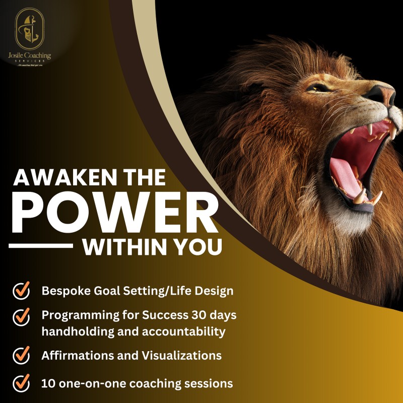 Buy Awaken the Power Within by Collins Alunomoh on Selar