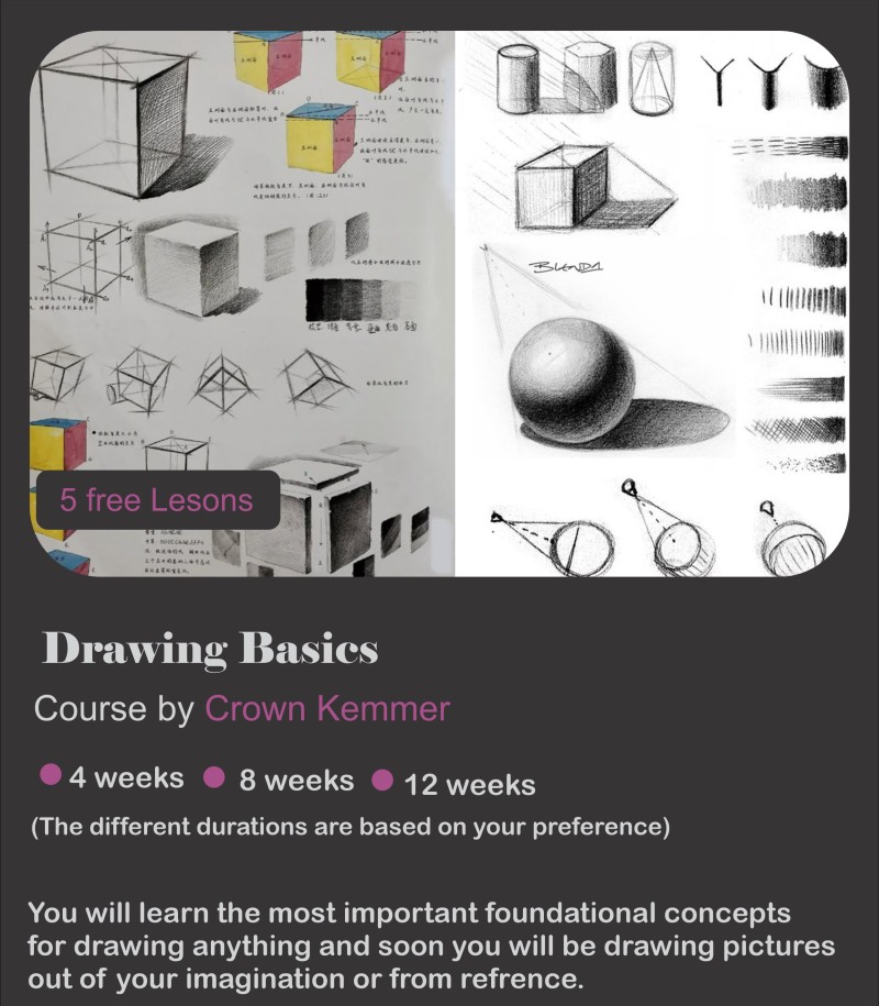 4 weeks Drawing Basics Course