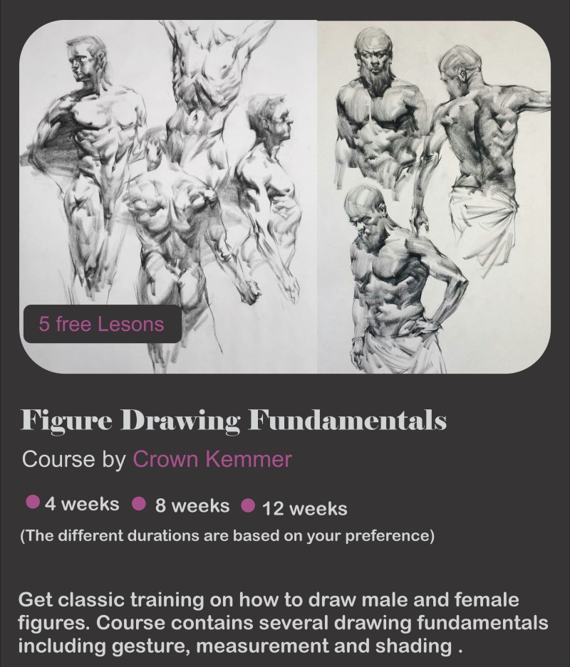 8 weeks Figure drawing Fundamentals